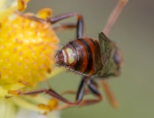 Nomada Fund 1 - Hun, , Fotograf Claus Bach.