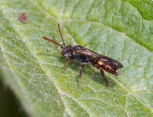 Nomada Fund 4 - Hun, , Fotograf Claus Bach.