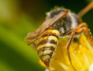 Nomada Fund 5 - Han, , Fotograf Claus Bach.