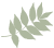 Akseblad_grøn